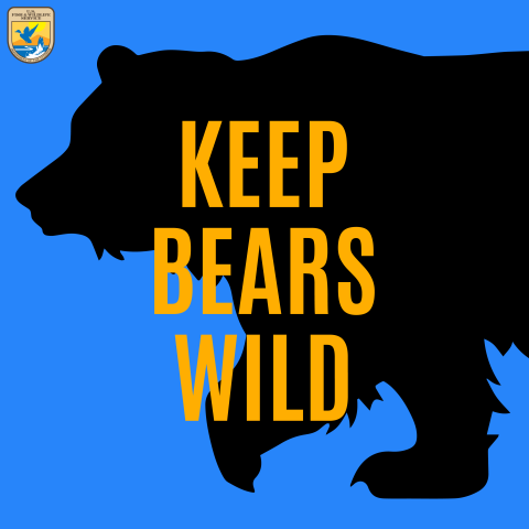 Bear With Us: How to Keep Yourself (And Grizzlies) Safe