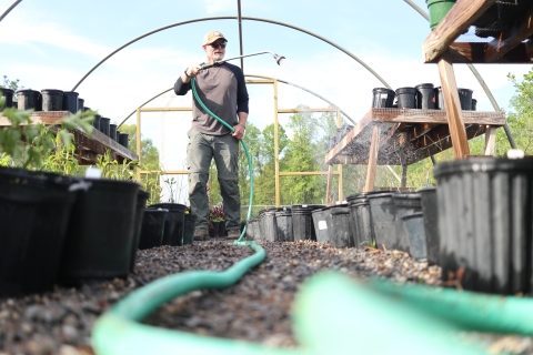 One person holding a hose, surrounded by potted plants.