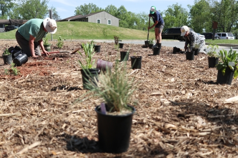 Three people among several potted plants, digging holes and putting plants in the ground