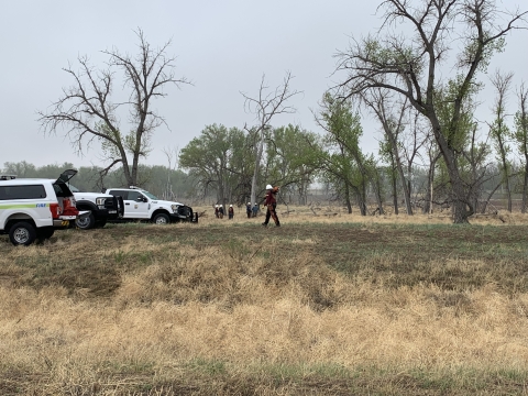 people in helmets on open field with some trees and a row of trucks nearby