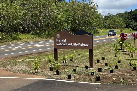 A brown sign that reads Hanalei National Wildlife Refuge. It is next to a road way and surrounded by potted plants. 