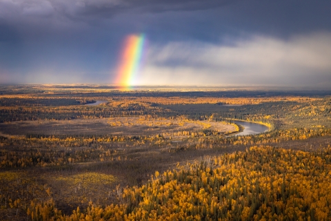 Aerial view of a river with fall colored trees and vegetation along the sides and a rainbow from the ground to the clouds. 