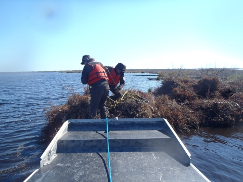 Two people on a boat remove harnesses from bundle of trees