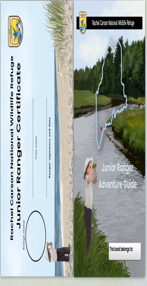 Rachel Carson NWR Junior Ranger Program Cover with image of a river flowing past salt marsh and forest on the front cover a light blue outline of the state of Maine with a map pin at the refuge location and a girl looking through binoculars. The back page has an image of the same girl looking through binoculars on a beach at the ocean.