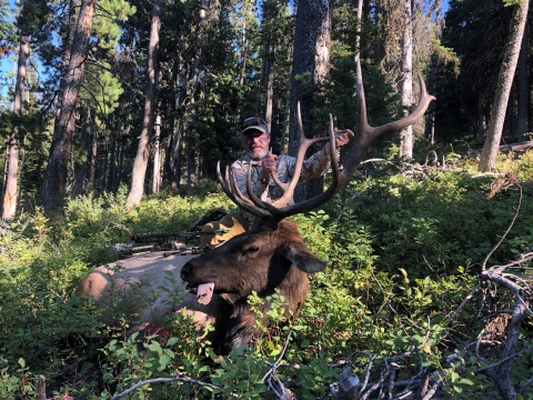 A hunter presents a buck to the camera