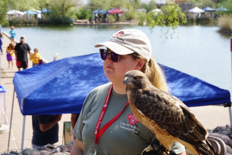 Liberty Wildlife representative with hawk.