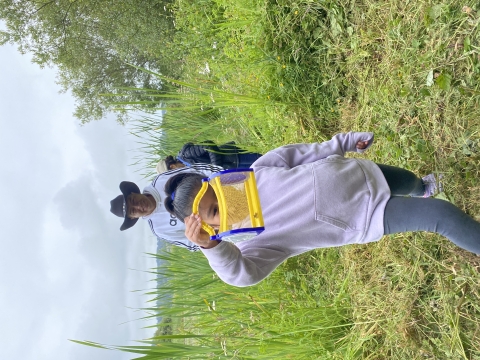 Adult and children standing in green vegetation - one child is holding up a plastic mesh box that contains a small frog