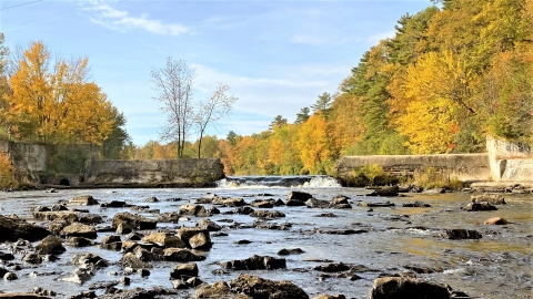 downstream from a breached dam. Sunlight illuminates forest on the river's sides.