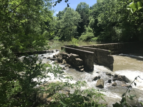 Downstream view of an old, failing dam surrounded by vegetation