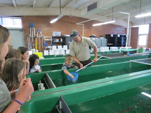 A group of young people looking into a tank that contains fish. 