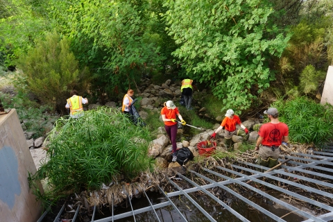 Cleanup at Rio Salado on UWCD 2022