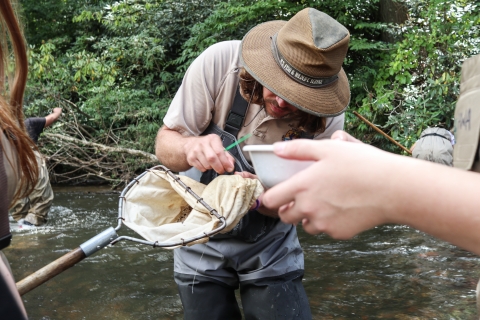 Person standing in a river pulling something small from the outside of a small kick net