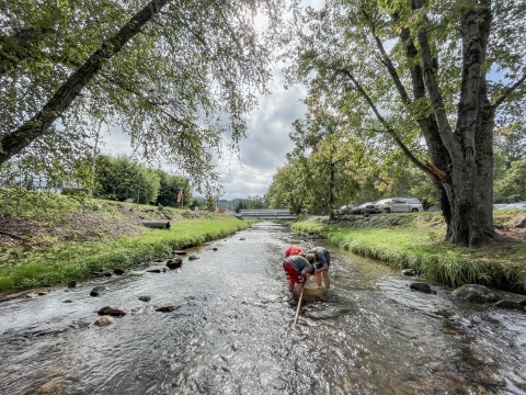 Trio of kids standing in a stream around a small kick net