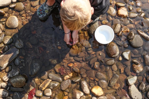 Person kneeling over a shallow pool, their hands in the water