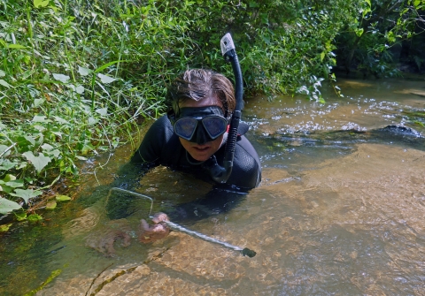 Bill Tate, wildlife biologist for U.S. Fish and Wildlife Service catches an Okaloosa darter in a stream on Eglin Air Force Base, Florida. 