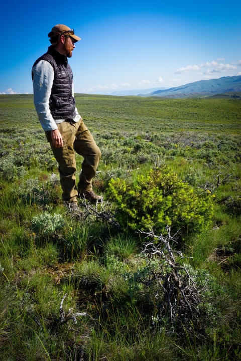 man in a vest, long pants, and baseball hat stands by a small, green conifer tree in a green landscape