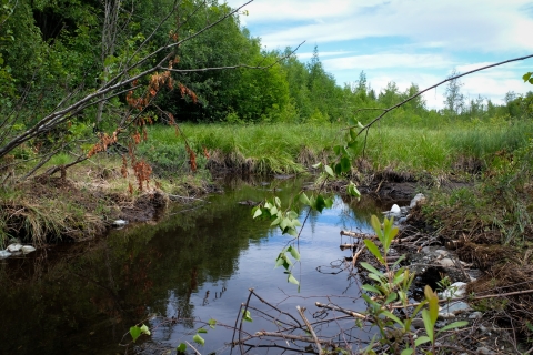 O'Brien Creek stretches through Wasilla, AK.