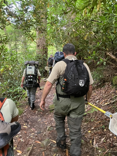 People hiking in the woods with electroshocking equipment