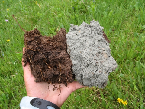 A hand holding two clumps of soil, one brown and one gray