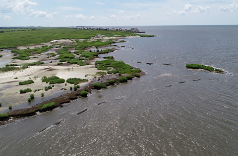 Along the shore sections of oyster barrier can be seen peaking above the water. Looking almost like a dotted outline these sections have gaps in between. They are situated off shore in the intertidal region.