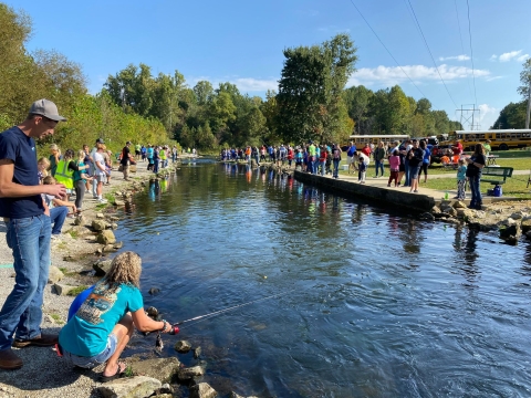 People crowding the banks of a stream on a sunny day