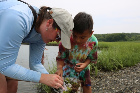 a young woman and child look through a crab net in a salt marsh