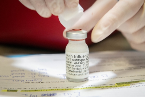 Close up image of a vial containing a white substance. Label says "Avian Influenza H5N1 subtype. For experimental use only"