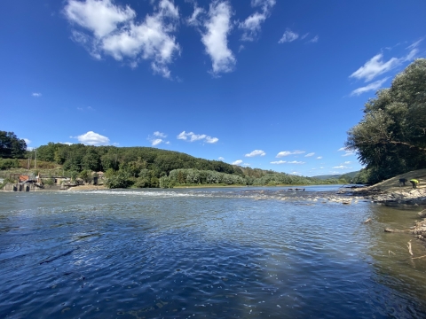 River with trees surrounding the banks