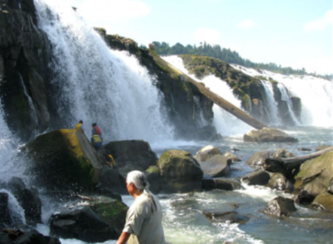 Waterfalls with people standing in the water looking at them