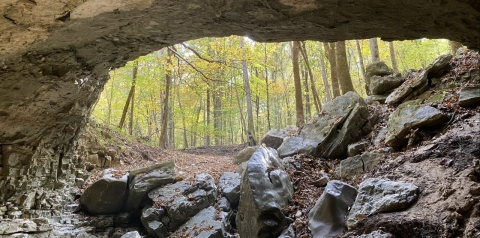 looking out of cave at forest