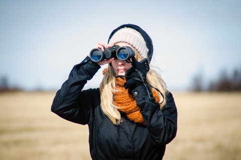 Winter Birdwatching