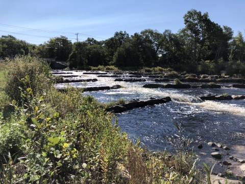 A river with angled lines of rock and green vegetation on the shore