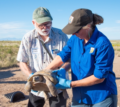 One person hands a large tortoise to another person, with desert grasslands in the background.