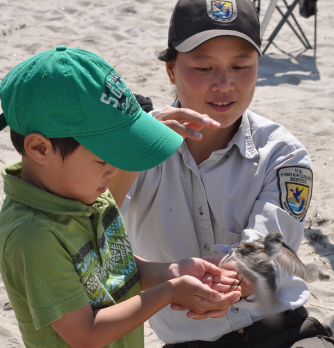 USFWS staffer kneeling on beach with child releasing bird