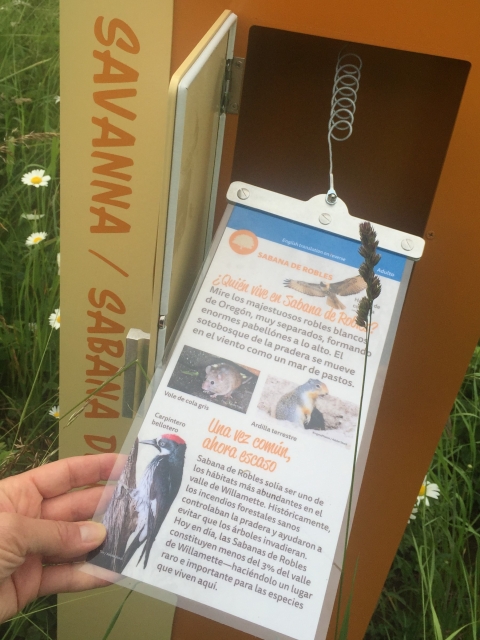 A hand pulls a Spanish language card with pictures of wildlife from a tall display box