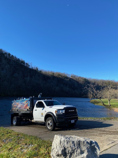 stocking fish into the White River below Bull Shoals Dam