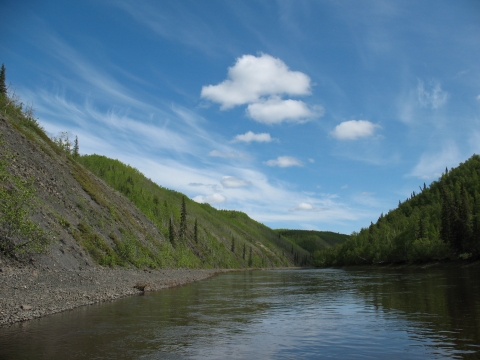 Landscape of river with steep banks and forest