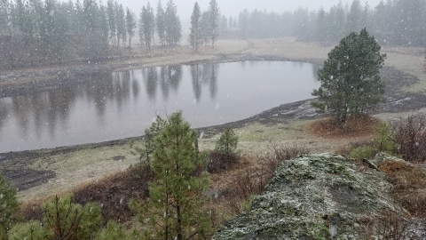 A restored wetland full after being filled with winter precipitation