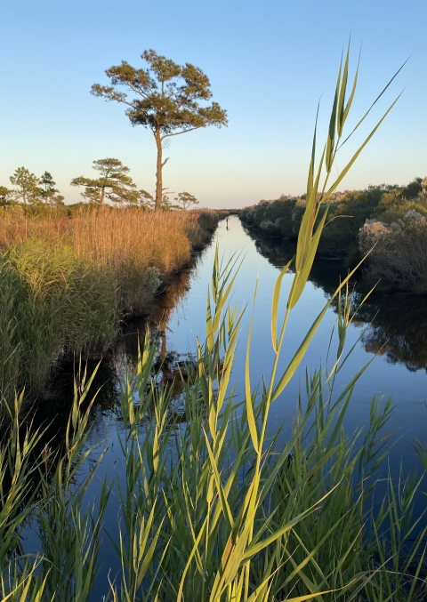 A canal runs to the bay.