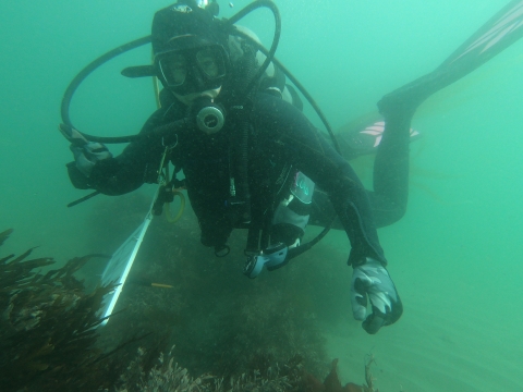 A woman scuba diving underwater gives the camera a thumbs up