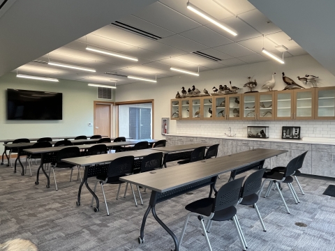 Classroom tables and chairs in Environmental Education Classroom