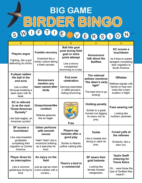 Bingo card titled “Big Game Birder Bingo: Swiftie Version.” There are five rows and five columns. The cells from left to right read: 1. Players argue. Fighting, like a gull defending its chicks. 2. Fumble recovery. Snatched like a turkey vulture taking a fresh carcass. 3. Ball hits goal post during field goal or extra point attempt. Like a downy woodpecker drumming on a tree. 4. Announcers talk about the Swifties. 5. KC scores a touchdown. As if they’re scarlet tanagers, completing their migration to South 