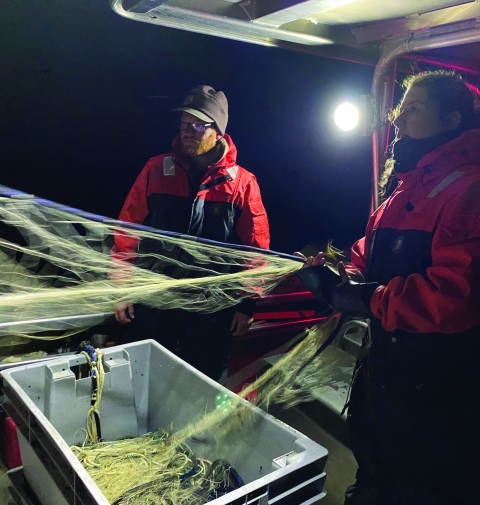 Two biologists in orange and black coats hold a net at night, with a bright light illuminating their work.