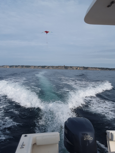 the view from behind a moving boat of moving water and a red kite soaring high above it