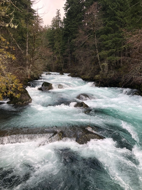 flowing water with rocks