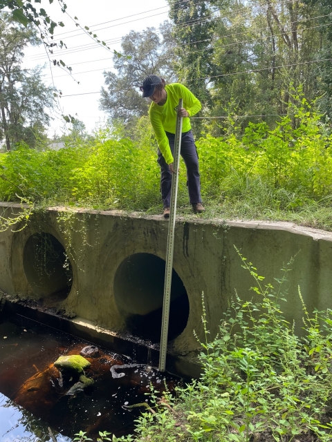 Biologist measuring culvert