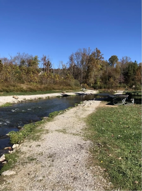 A flowing creek on a clear day 