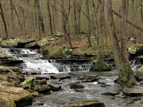 Collins Creek waterfall