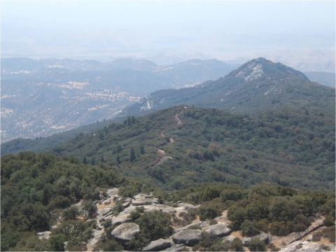 A ridgeline trail surrounded by oak and pine trees with out crops of granite rocks stretches off into the distance beneath a hazy sky