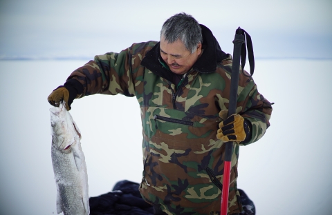 A man wearing a warm camo jacket pulling a white and silver fish out of the ice